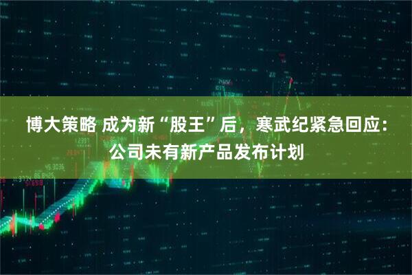 博大策略 成为新“股王”后，寒武纪紧急回应：公司未有新产品发布计划