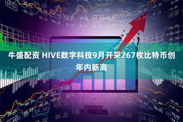 牛盛配资 HIVE数字科技9月开采267枚比特币创年内新高