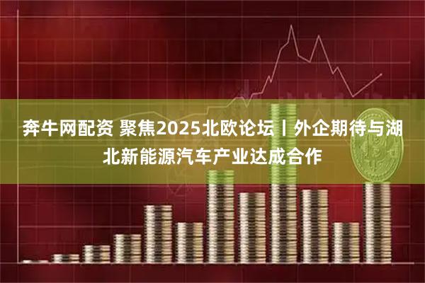 奔牛网配资 聚焦2025北欧论坛丨外企期待与湖北新能源汽车产业达成合作