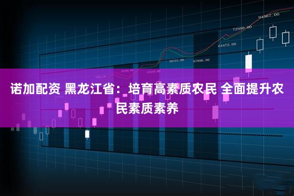 诺加配资 黑龙江省：培育高素质农民 全面提升农民素质素养